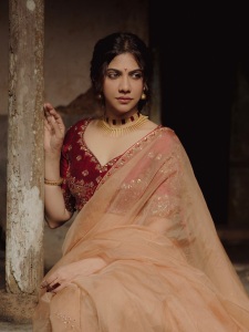 madonna-sebastian-in-maroon-blouse-with-saree-look-photos-001
