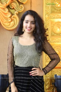 actress-malavika-menon-latest-photos-01-1169