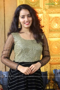 actress-malavika-menon-latest-photos-01-2528
