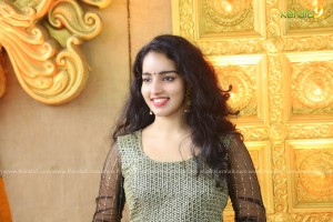 actress-malavika-menon-latest-photos-01-3486