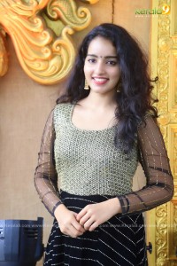 actress-malavika-menon-latest-photos-01-747