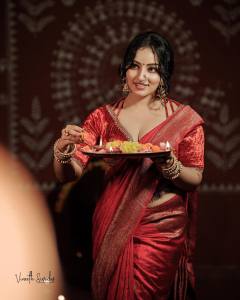 celebrity-malavika-menon-new-photos-in-red-saree-with-designer-blouse-002