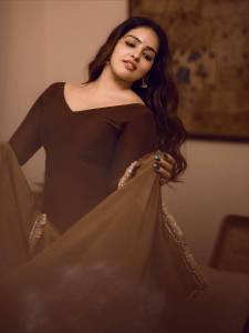 malavika-c-menon-in-brown-party-wear-dress-photos-004