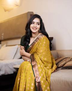 malavika-c-menon-in-golden-yellow-saree-and-green-blouse-photos-002
