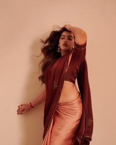 malavika-c-menon-in-saree-two-shade-coffee-colour-latest-photos-003