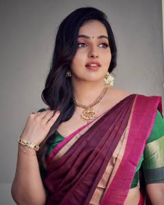 malavika-menon-beautiful-look-in-saree-photos-005