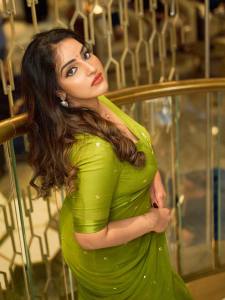 malavika-menon-in-green-pattu-saree-photos