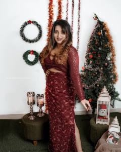 malavika-menon-in-wine-red-fashion-dress-photos-006