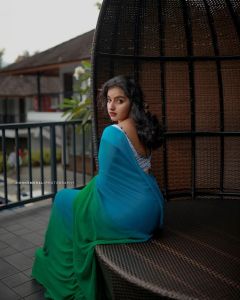 malavika-menon-latest-photos-in-sarees-hd-004