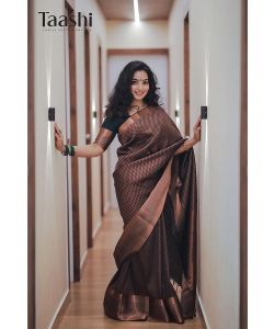 malavika-menon-latest-photoshoot-in-saree-hd-images-005