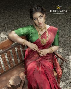 malavika-menon-navaratri-photoshoot-012
