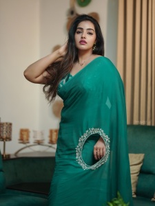 malavika-menon-saree-look-photos