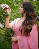 actress-malavika-c-menon-in-pink-saree-with-white-blouse-look-photos