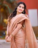 celebrity-malavika-menon-new-photos-in-red-saree-with-designer-blouse-006