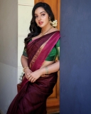 malavika-menon-beautiful-look-in-saree-photos-003