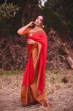 malavika-menon-beautiful-photos-in-saree-latest-012