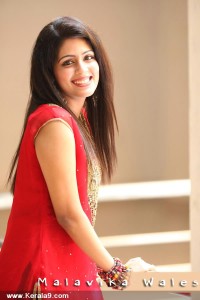 3067malavika_wales_pics_59-001