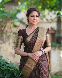 malavika-wales-in-coffee-brown-pattu-saree-photos-003