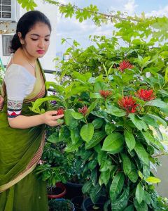 Malavika-Nair-latest-photos-hd-008