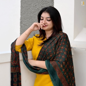 actress-malavika-nair-photos-026