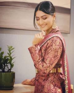 mamta-mohandas-in-saree-photos-002