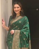 mamta-mohandas-in-green-pattu-saree-photos-003