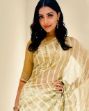 mamta-mohandas-in-golden-colour-sarees-images-001