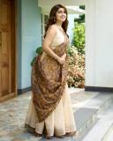 manasa-radhakrishnan-in-function-wear-outfit-dress-photos-010