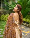 manasa-radhakrishnan-in-function-wear-outfit-dress-photos-011