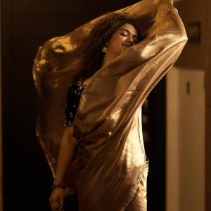 mareena-michael-kurisingal-in-golden-saree-with-contrast-blouse-ideas-photos