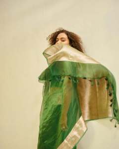 mareena-michael-kurisingal-in-green-cotton-saree-pics-013