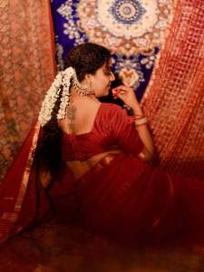 mareena-michael-kurisingal-in-red-saree-traditional-style-images-014