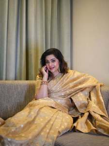 actress-meena-in-saree-photos-003