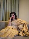 actress-meena-in-saree-photos-004