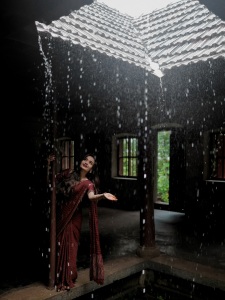 meenakshi-anoop-in-maroon-saree-photos-002