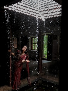 meenakshi-anoop-in-maroon-saree-photos-004