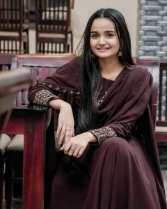 meenakshi-anoop-new-photos-2022-007