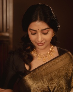 meera-jasmin-in-cream-colored-silk-saree-featuring-a-rich-contrast-dark-brown-border-and-pallu-photos-005