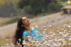 meera_jasmine_photo_gallery-00256