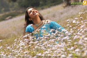 meera_jasmine_photos_in_saree-00242