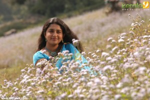 meera_jasmine_photos_in_saree-00972