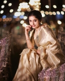 meera-jasmine-in-golden-colour-saree-with-matching-blouse-003