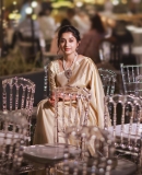 meera-jasmine-in-golden-colour-saree-with-matching-blouse-004