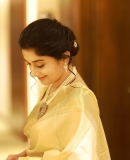 meera-jasmine-in-golden-colour-saree-with-matching-blouse-007