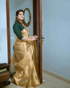 meghana-raj-latest-pics-in-saree-002