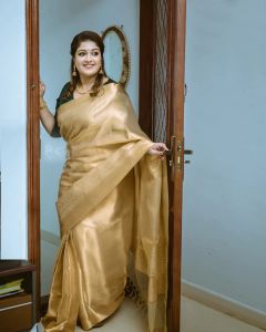 meghana-raj-latest-pics-in-saree-004