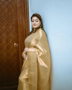 meghana-raj-latest-pics-in-saree-005