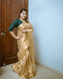 meghana-raj-latest-pics-in-saree