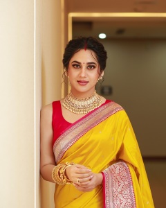 miya-george-in-yellow-saree-with-pink-blouse-photos