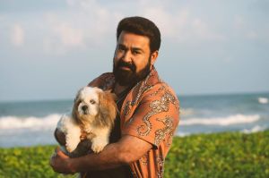 ahana-krishna-kumar-album-photos-002